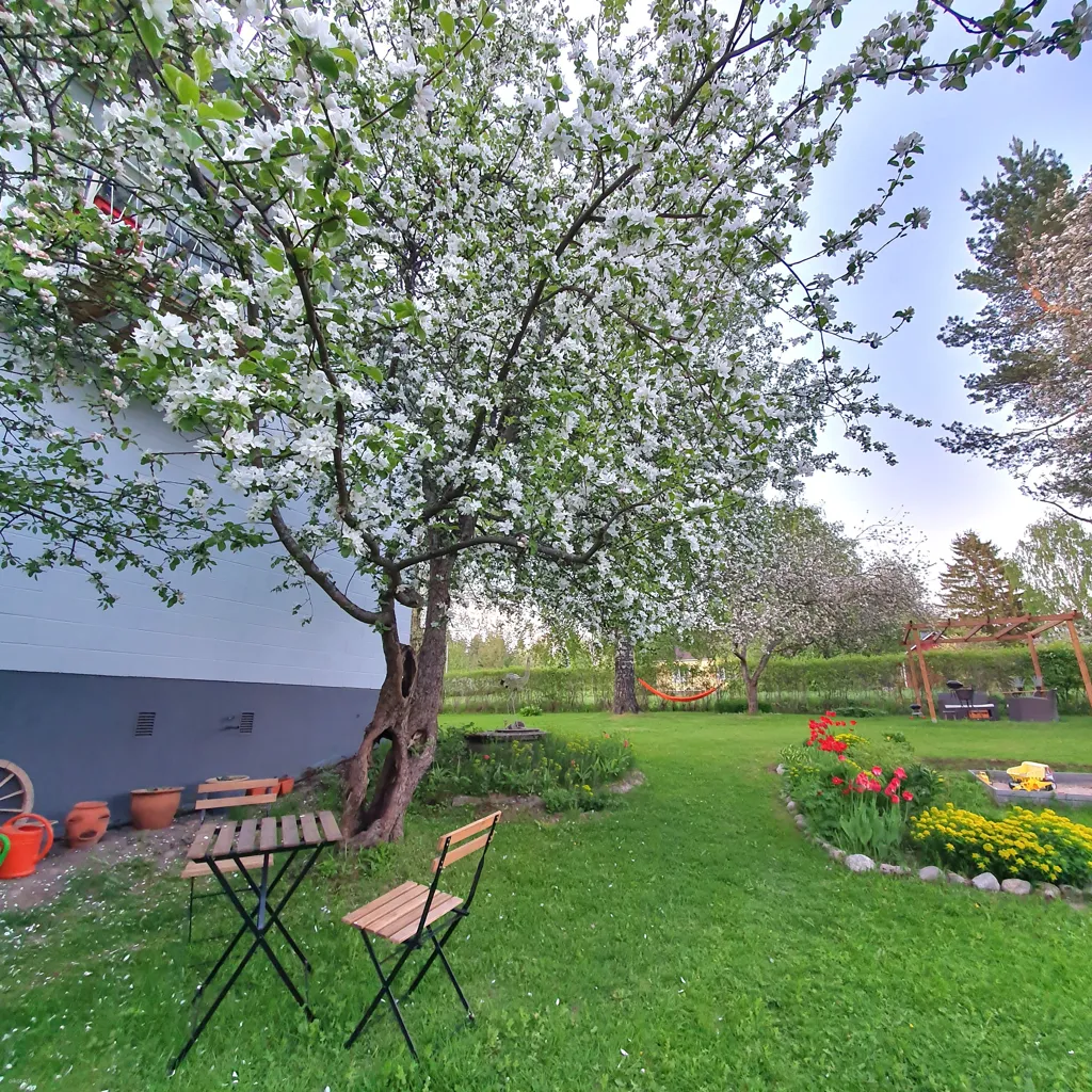 Aed - Unique 1960s Stone Cottage with Views in Kuusankoski