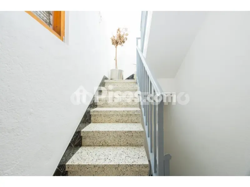 Toad - Three-Bedroom House with Terrace in Torelló