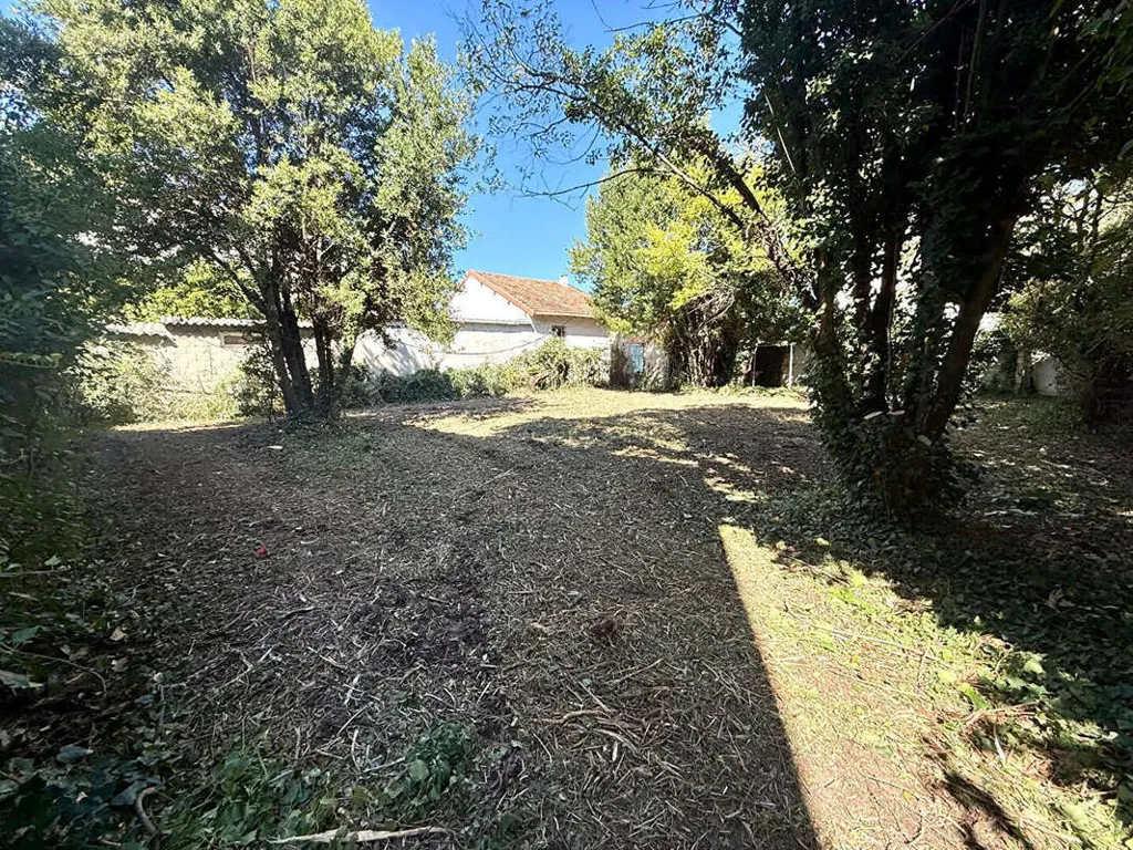 Jardin - Terrain Constructible avec Jardin à Avignon Rocade Sud