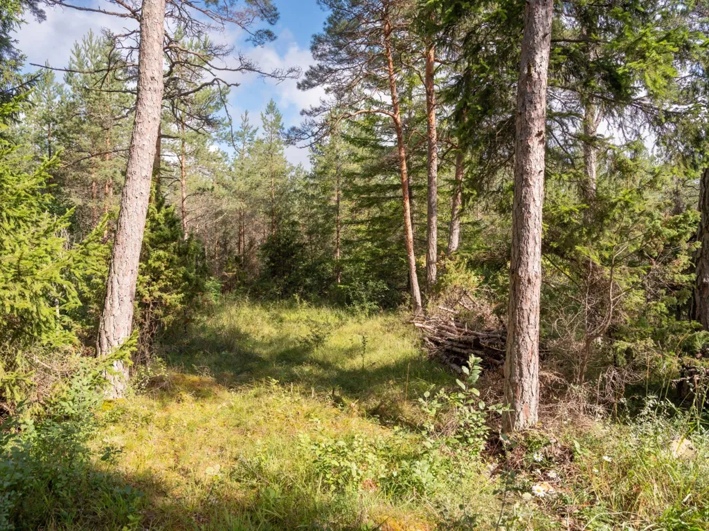 Aed - Large Plot with Preserved Vegetation in Anga