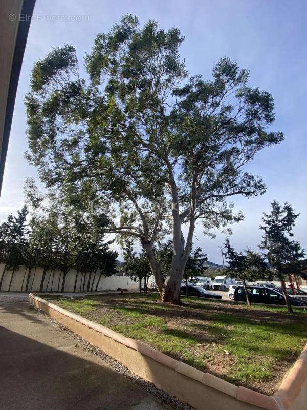 Aed - Mixed-Use Property with Pool in Monseret