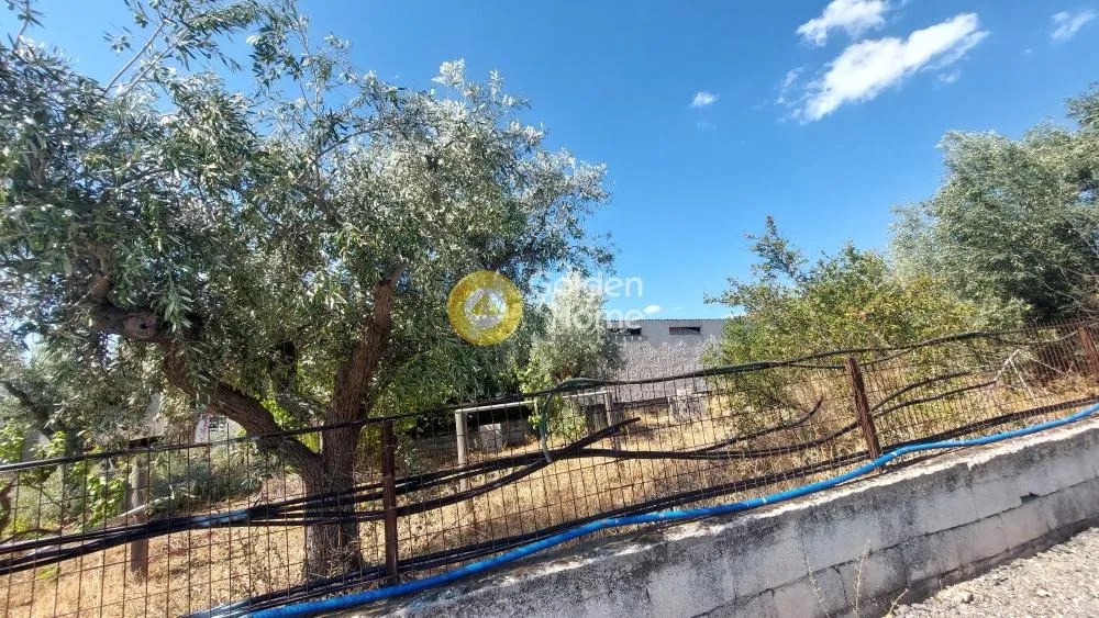 Aed - Warehouse with Storage in Koropi - Karelles