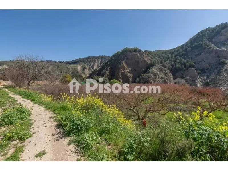 Giardino - Rustic Finca with Mountain View in Cónchar