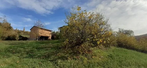 Aed - Rustic Farmhouse with Land near Sassuolo