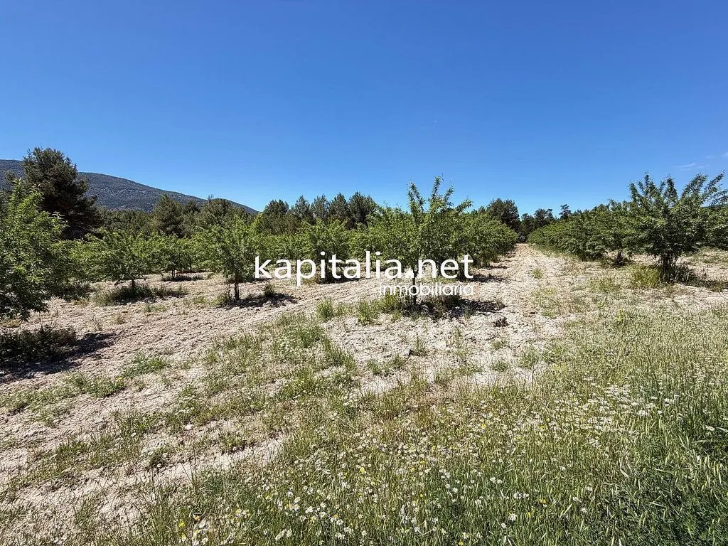 land_plot
