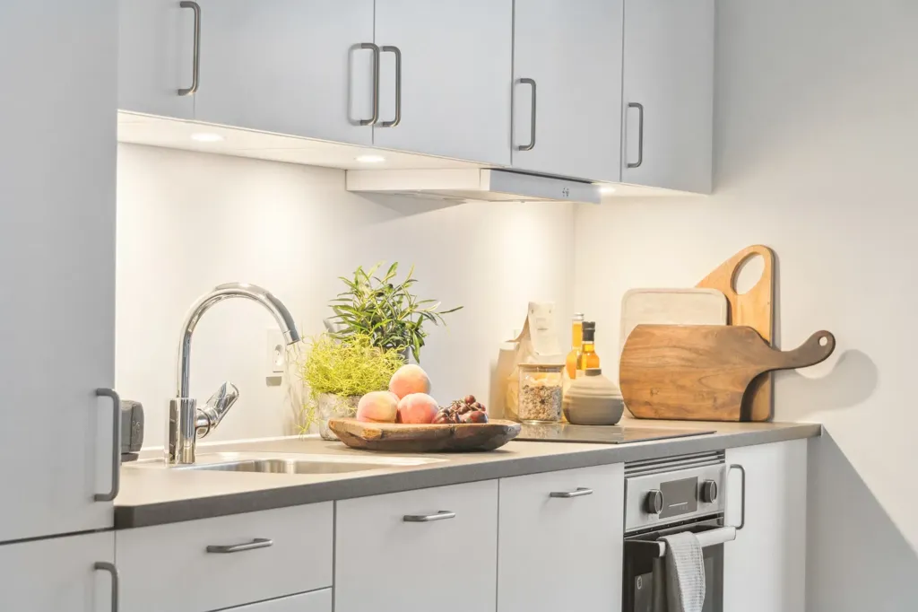 Cuisine - Apartment with Terrace in Hårde