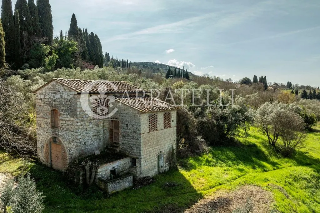 Vista aerea - Rustic Complex with Olive Grove in San Casciano