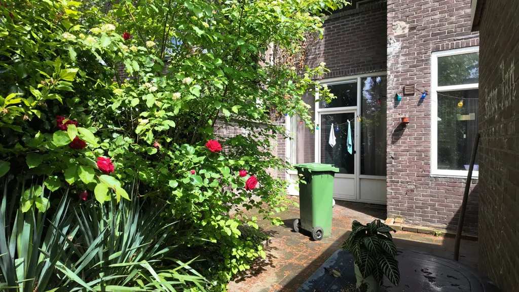 Jardin - Studio with Central Location in Maastricht