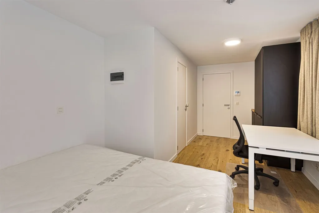 Magamistoad - Studio Apartment with Private Bathroom in Leuven Centre