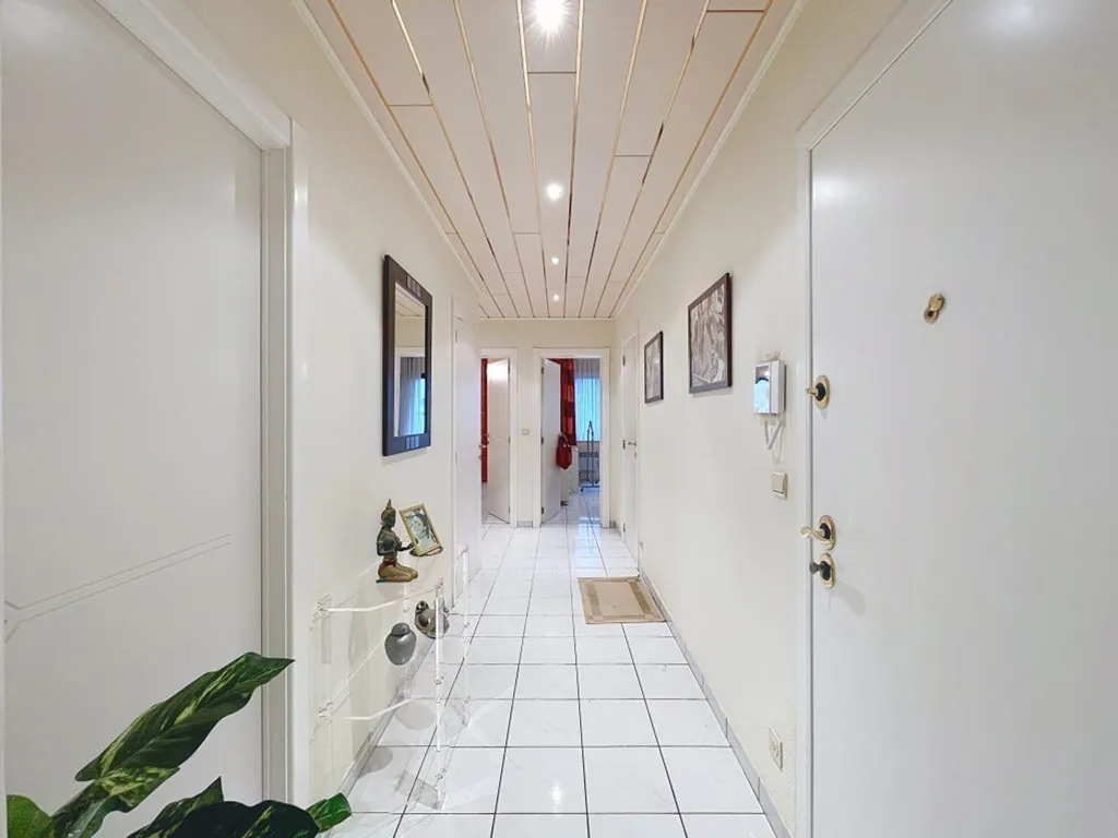 Ingresso - Apartment with Double Terraces in Brussels 8