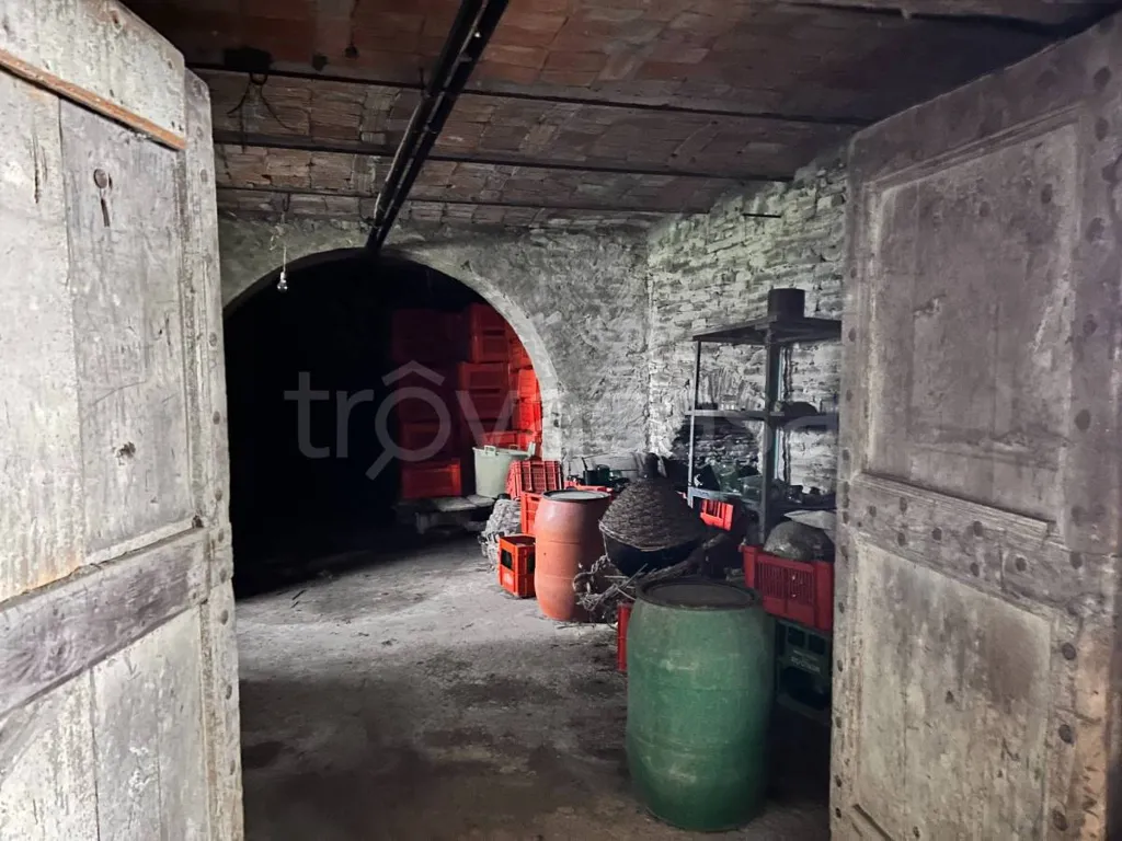 cellar