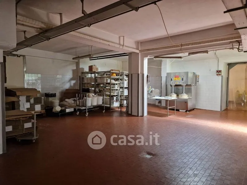 Toad - Mixed-Use Rustico with Industrial Space in Falconara Marittima