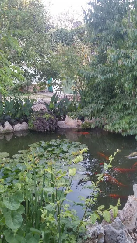garden