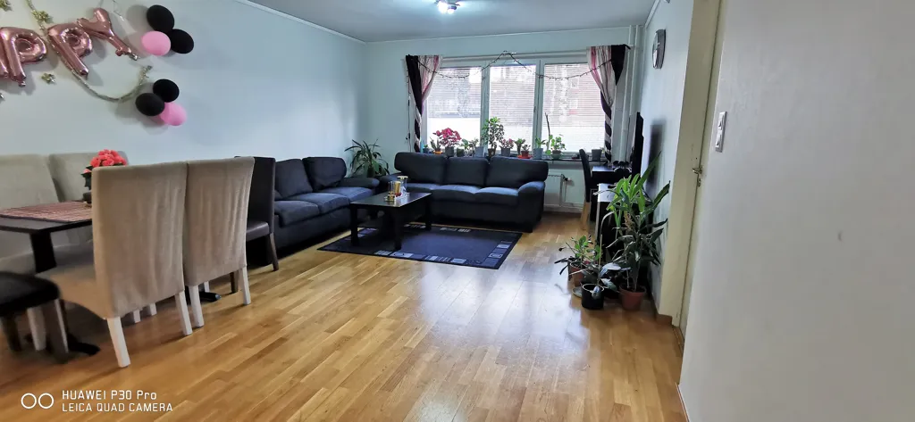 living_room