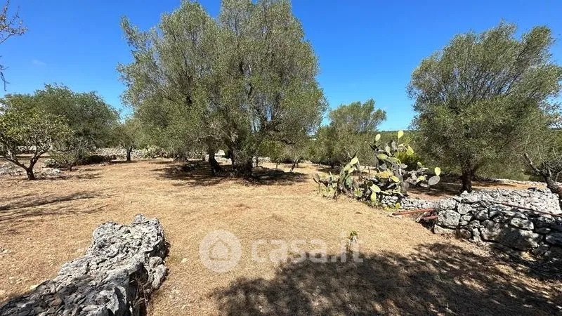 Jardin - Rustic Casale with Pool in Ostuni