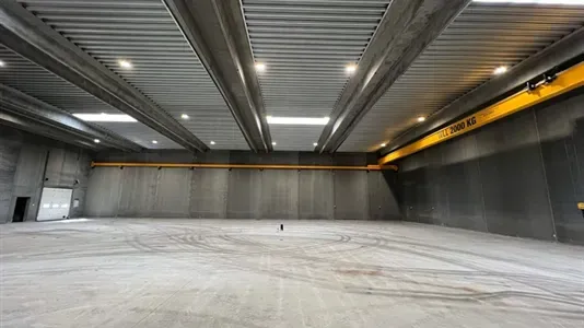 Toad - Warehouse/Office Space in Humlebæk