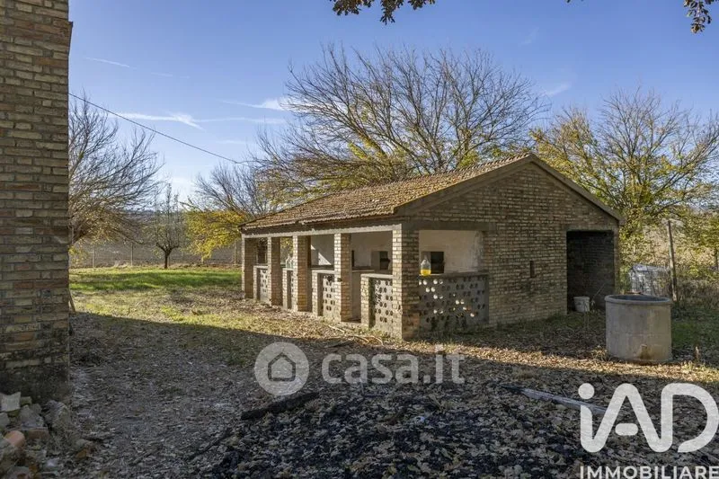 Giardino - Traditional Rustico with Olive Trees in Appignano