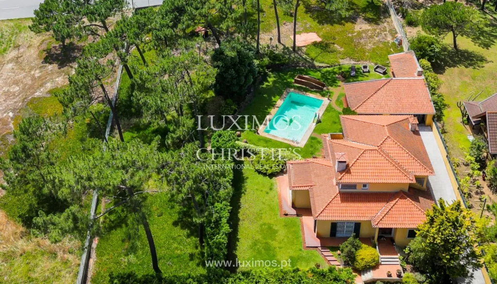 Vista aerea - Villa with Pool and Garden in Esmoriz