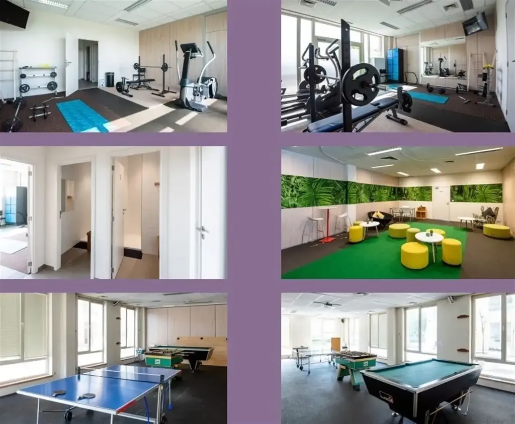 Toad - Split-able Offices in Drogenbos Techno Centre