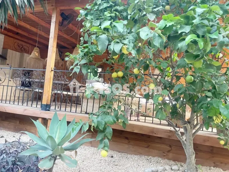 Jardin - Maison 4 pièces à ES