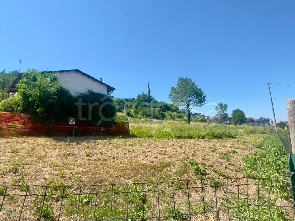 House in Alba