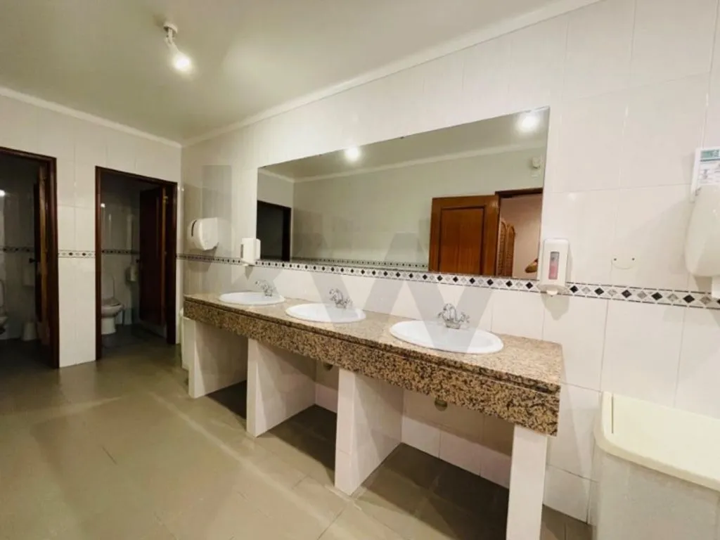 Vannitoad - Luxury Event House with Vineyard in Tomar