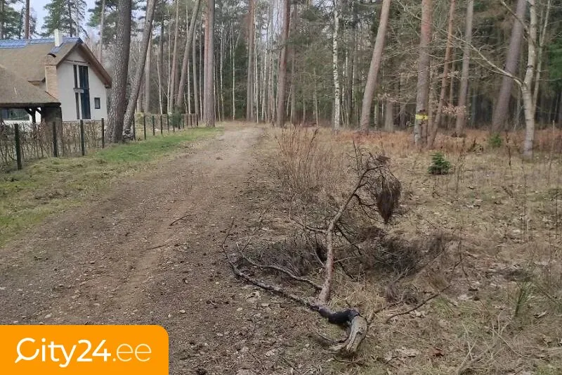 Extérieur - Land Plot for Private House in Grobiņa