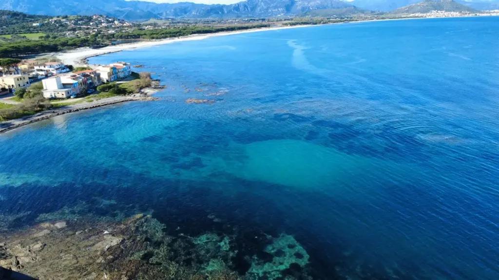 Sea View Apartment in Siniscola