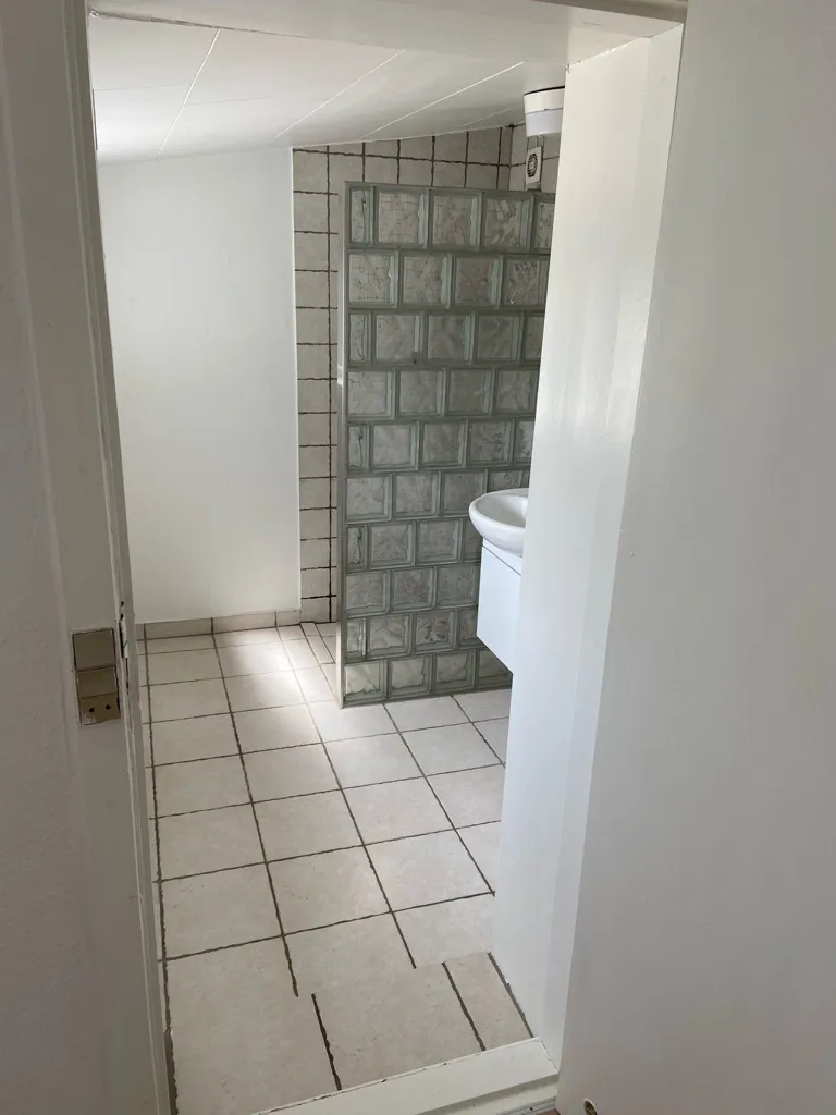 Vannitoad - Three-Bedroom Flat in Skive