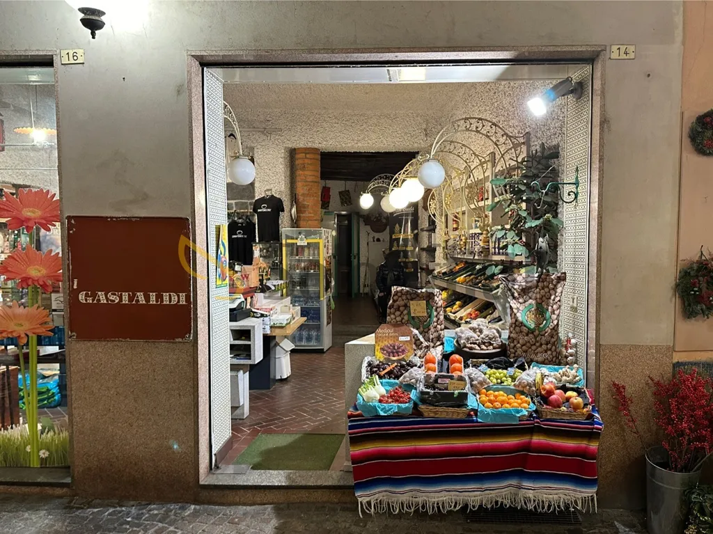 Toad - Shop with Two Windows in City Centre