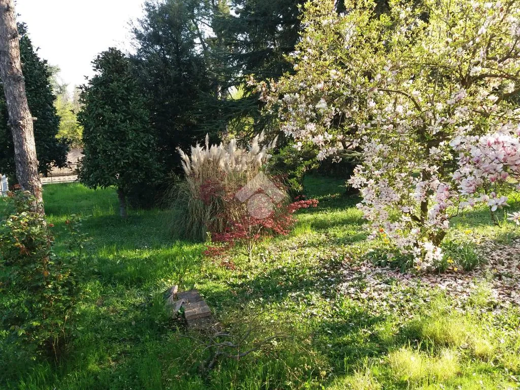Jardin - Spacious Apartment with Private Courtyard in Castelnuovo Rangone