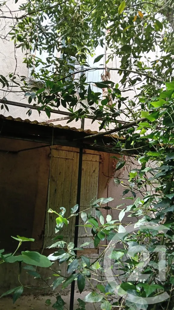 Giardino - 106m² Renovatable House in Gaillac