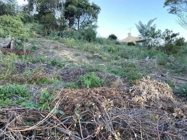 land_plot