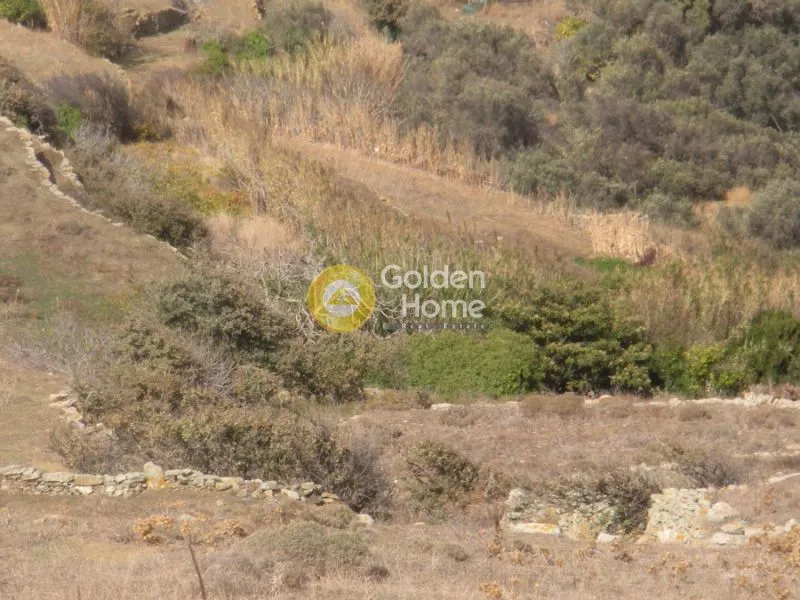 Aed - Agricultural Plot with Mountain View in Thinos