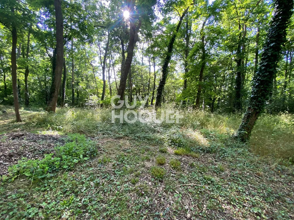 Giardino - Spacious House with Large Garden in Quiet Setting