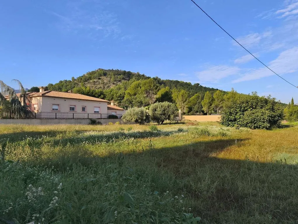 Garden - Single-Story Villa with Pool in Jalón, Valencia