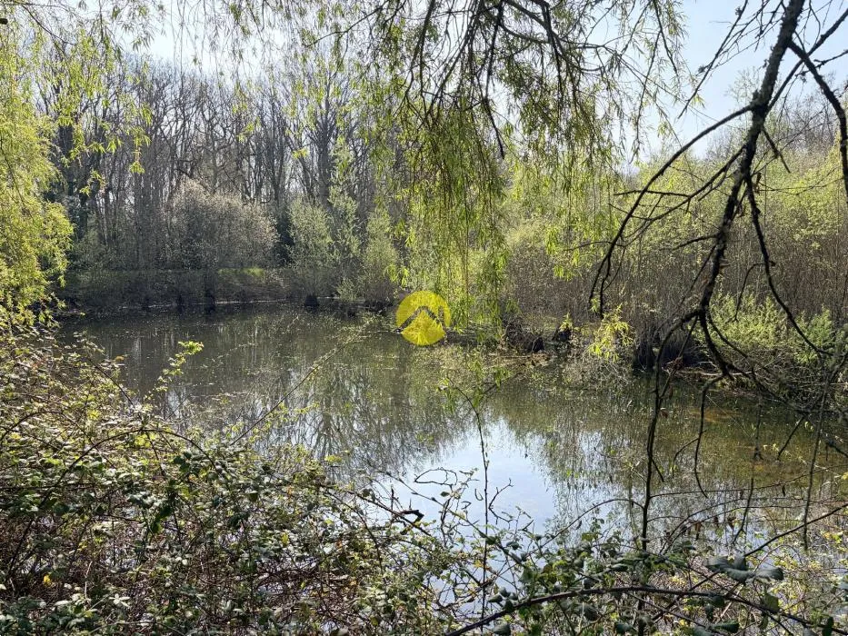 Garten - Leisure Ground with Ponds near Châteauneuf-sur-Cher
