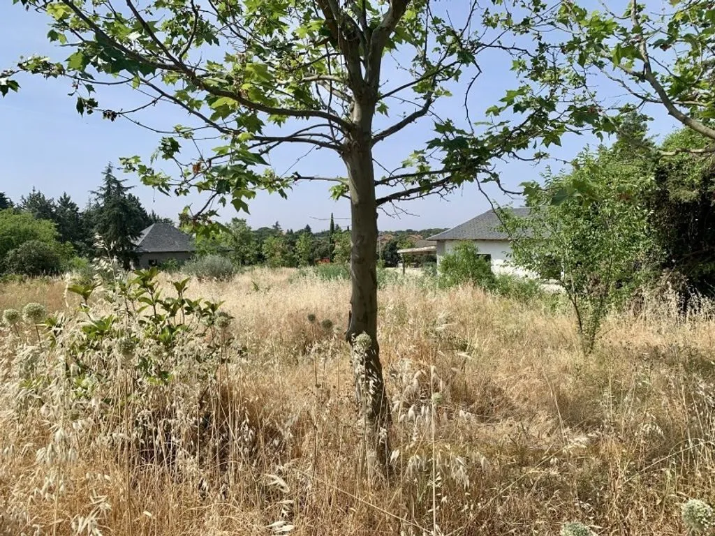 Garden - Urban Development Land near UCM, Colmenarejo