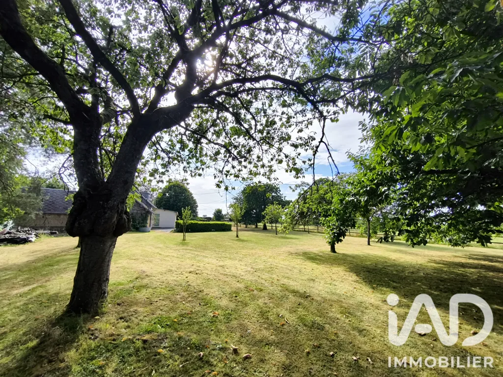 Garden - Character House with Garden in Condé-sur-Vire