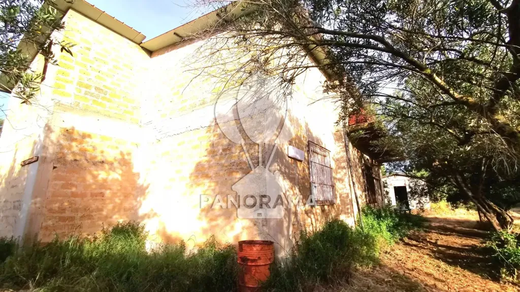 Exterior - Villa with Olive Grove in Partinico