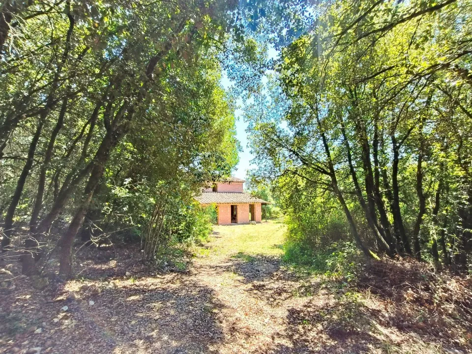 Aed - Villa with Private Park in Amelia