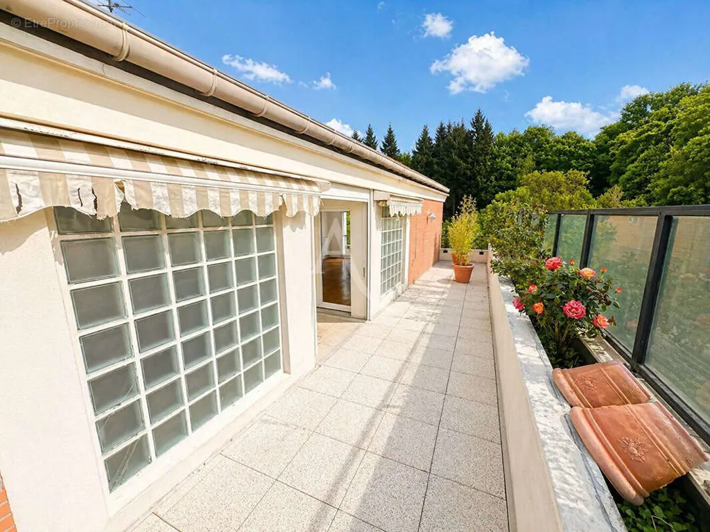 Terrass - Apartment with Terraces in Chaville