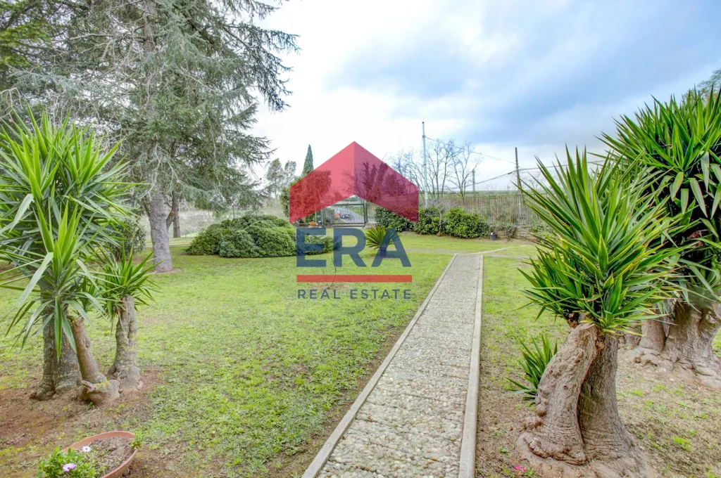 Jardin - Villa with 4.5-Hectare Park in Ardea