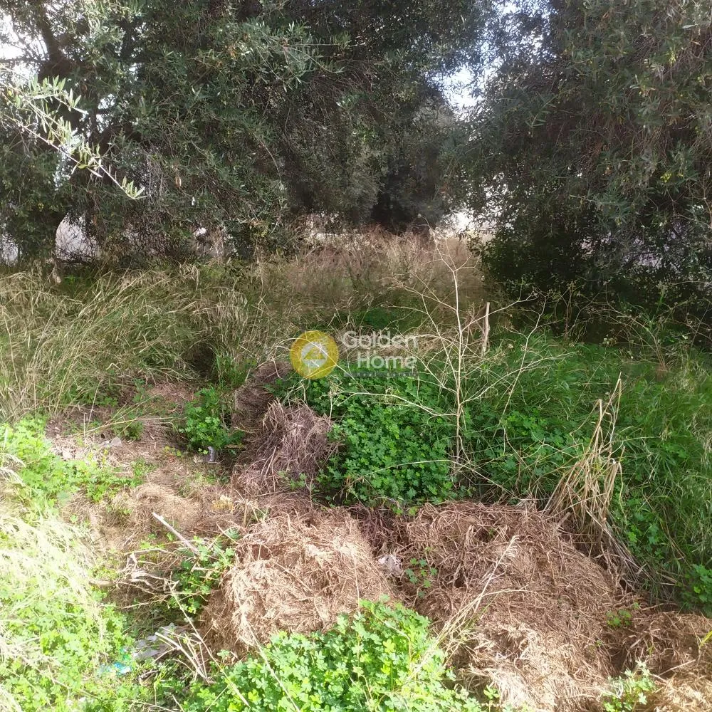 Giardino - Buildable Plot with Sea View in Agios Ioannis Knossou