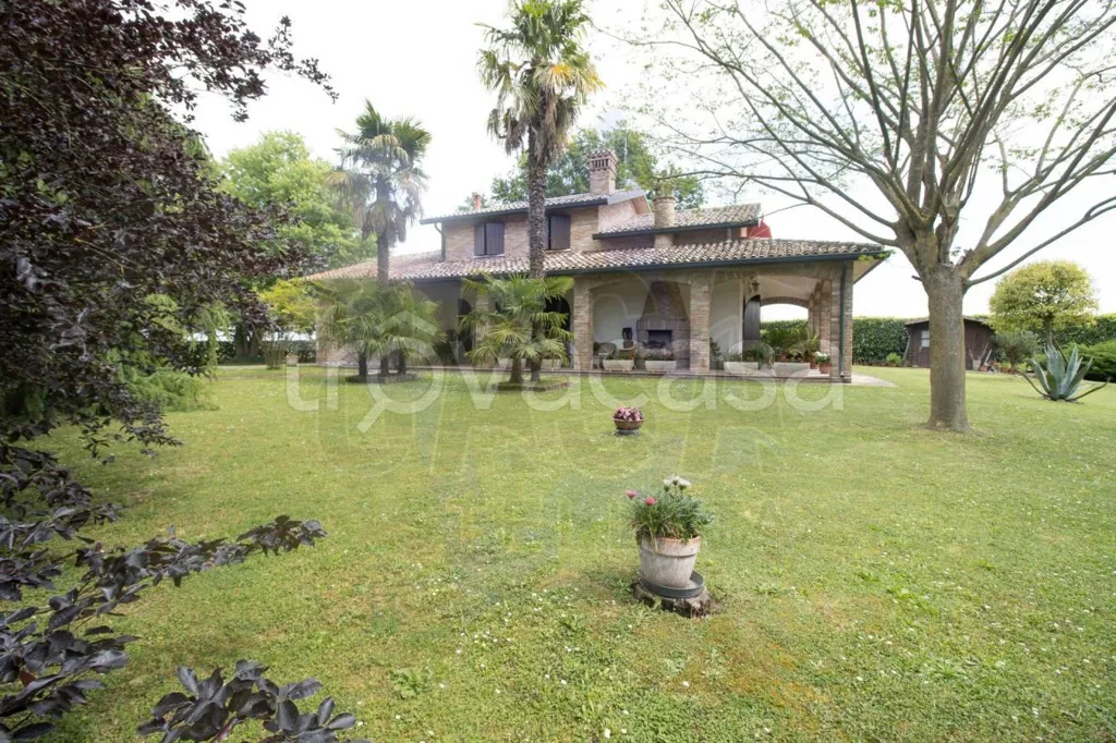 Jardin - Rustic Villa with Garden in Riva del Po