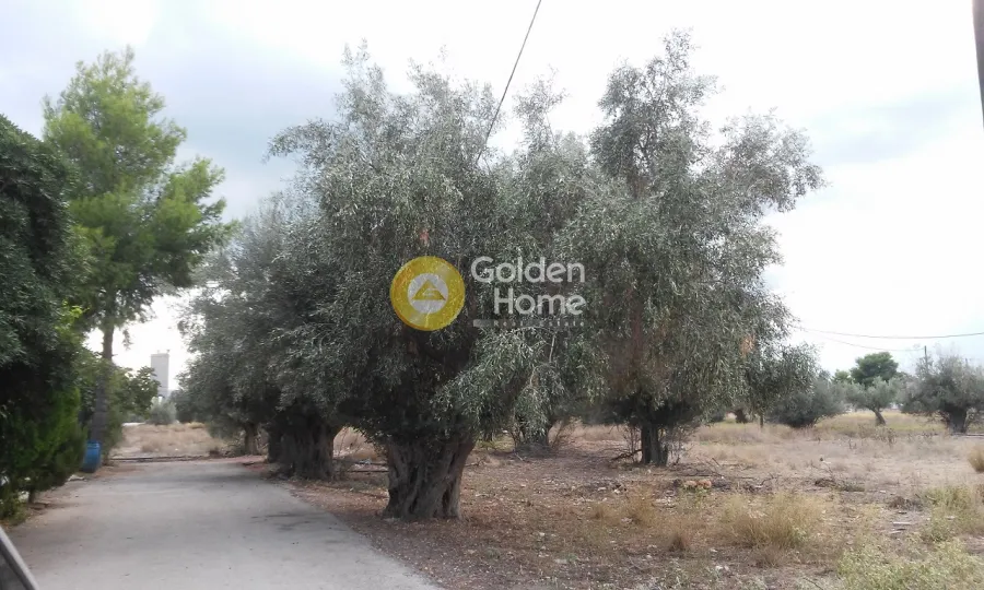 Aed - Plot with Existing Building in Aspropyrgos Centre