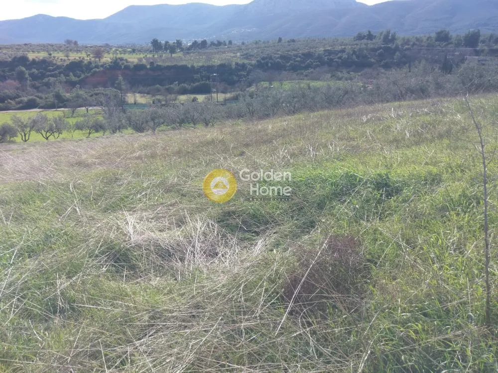 Aed - Commercial Plot with Unrestricted View in Eastern Attica