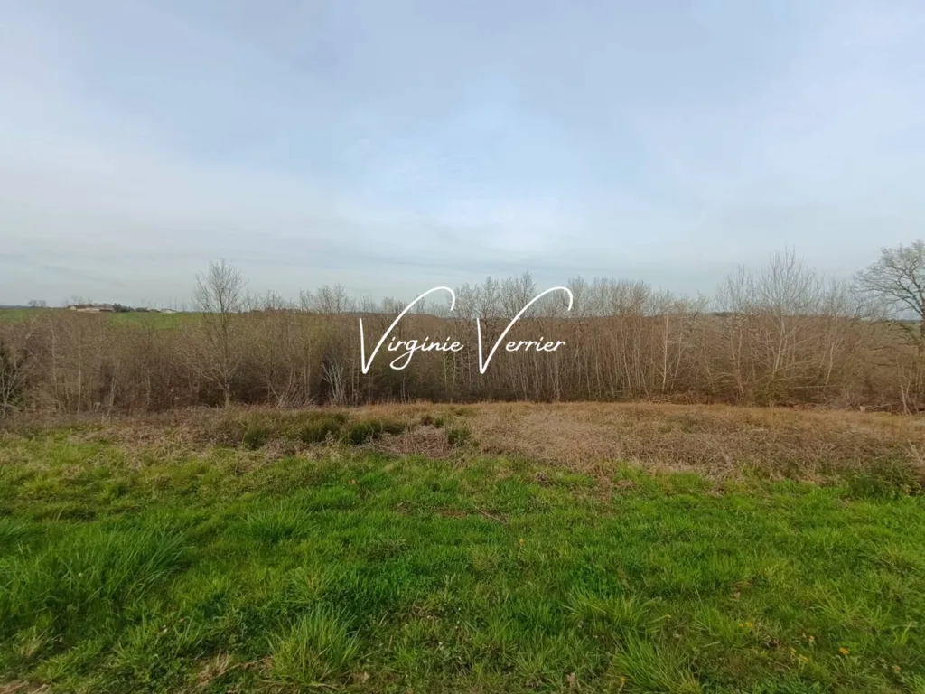 Jardin - Terrain Constructible au Calme à Louignac