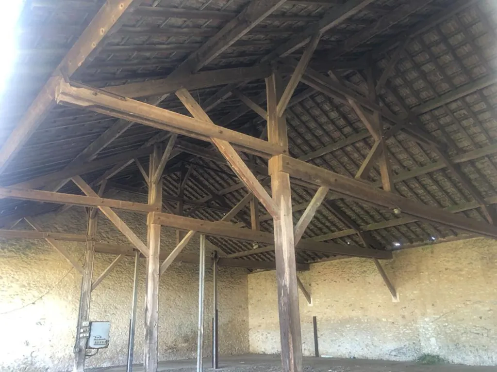 Toad - Stone Barn with Outbuilding in Provins