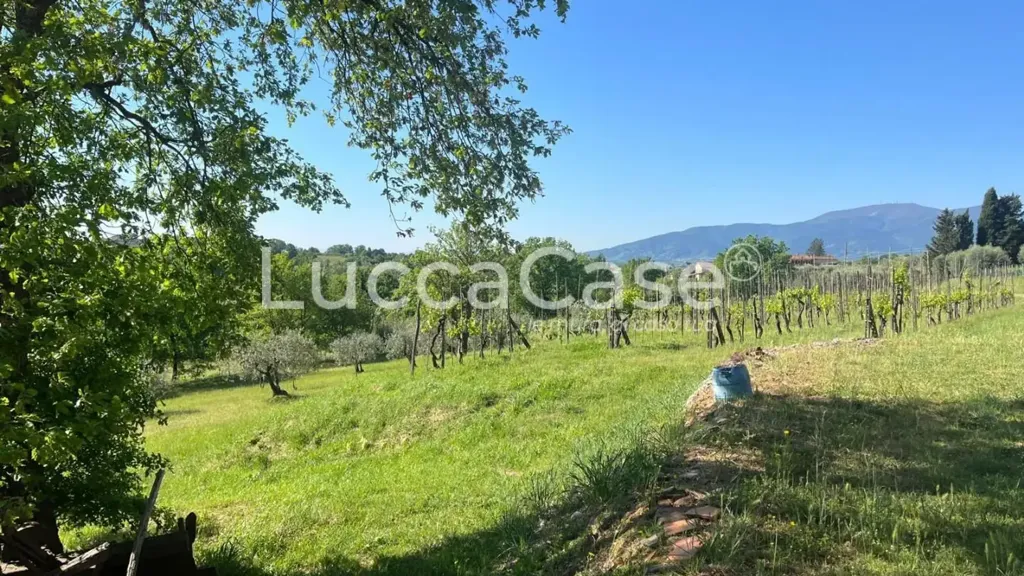 Jardin - Rustic Property to Renovate in Montecarlo